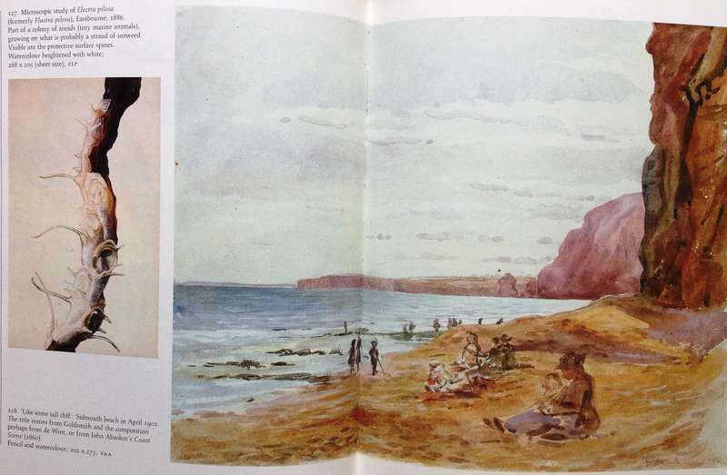 Beatrix Potter's Art - Paintings and drawings selected and introduced by Anne S Hobbs - Hardcover