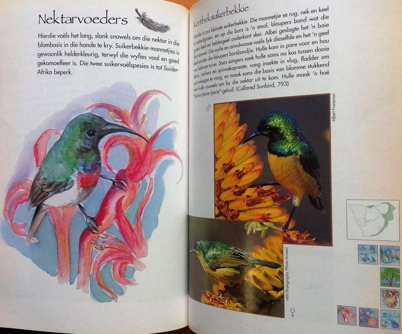 Suider-Afrikaanse Tuinvoels - Ulrich Oberprieler & Burger Cillie
