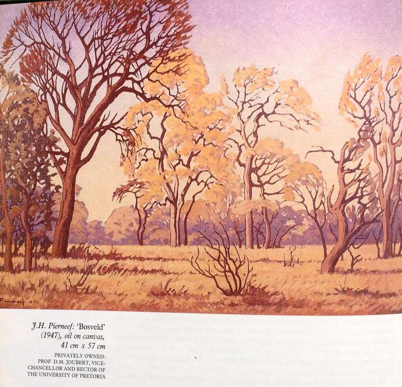 J H Pierneef - His life and his work - P G Nel