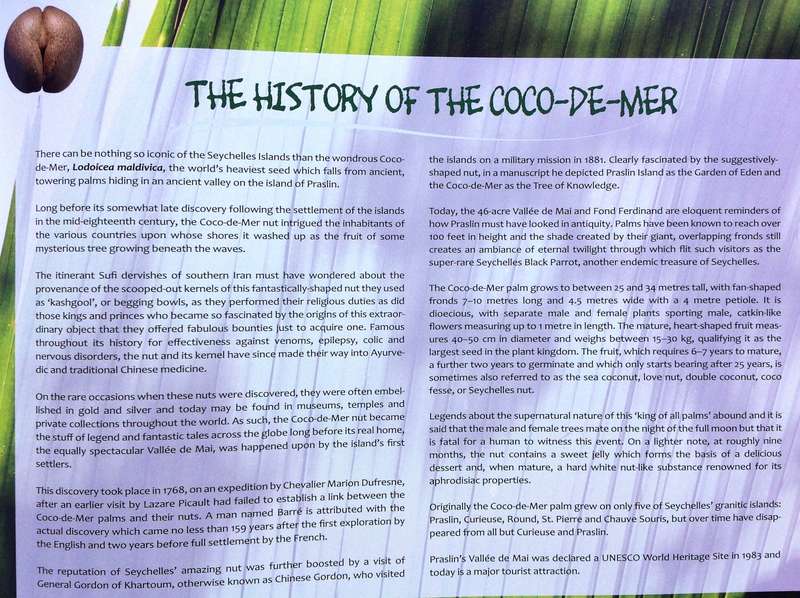 Seychelles - The Coco-de-Mer - A National Treasure - Glynn Burridge