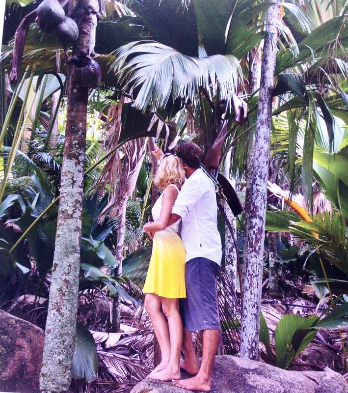 Seychelles - The Coco-de-Mer - A National Treasure - Glynn Burridge