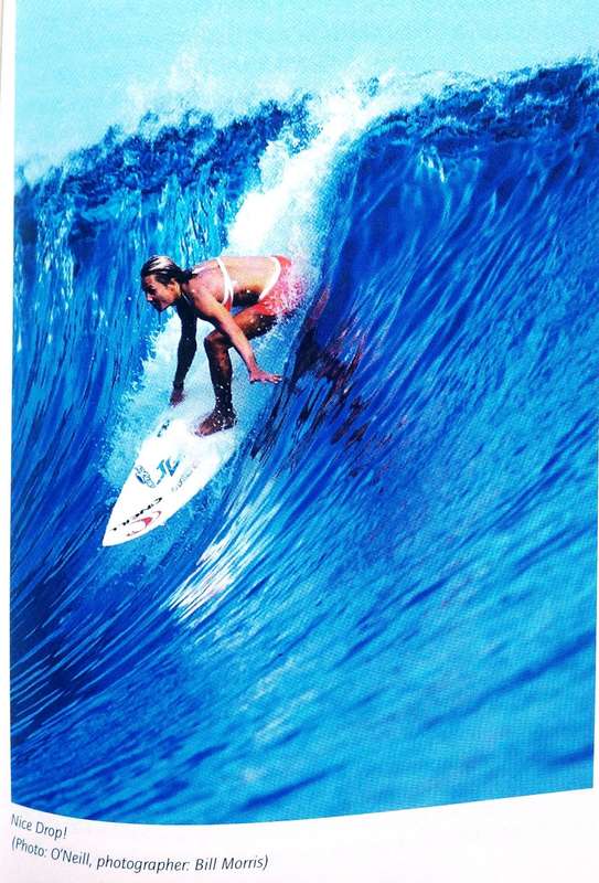 Surfing - Diel / Menges - In Search of the Perfect Wave