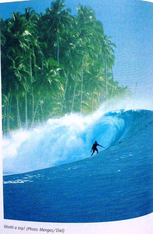 Surfing - Diel / Menges - In Search of the Perfect Wave