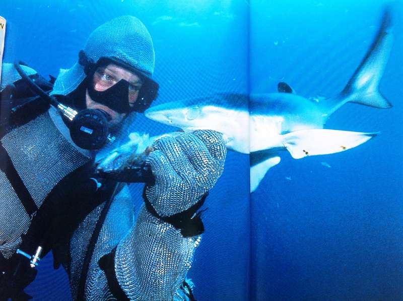 Diving with Sharks...and other Adventure Dives - Jack Jackson
