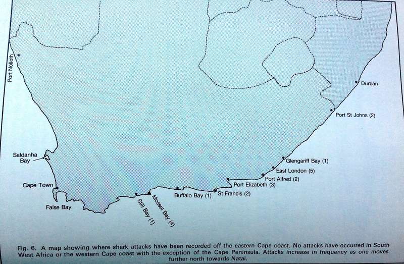 Shark Attack and treatment of Victims in Southern African waters - Tim Wallett - Hardcover
