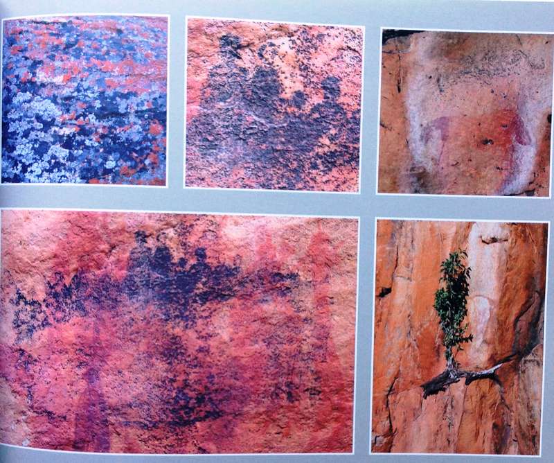 Cederberg Rock Engravings...Follow the San...John Parkington