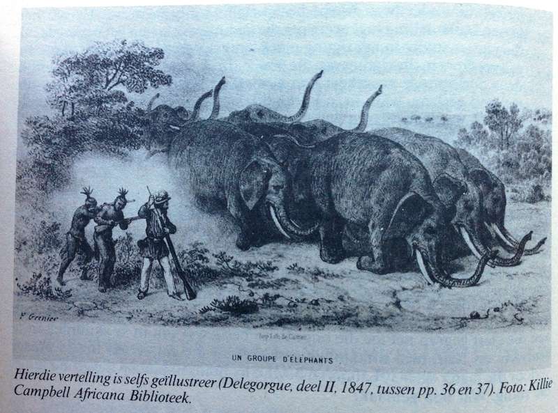 Die Franse Bydrae tot Africana-literatuur 1622 - 1902 - Marilet Sienaert-van Reenen - Hardeband