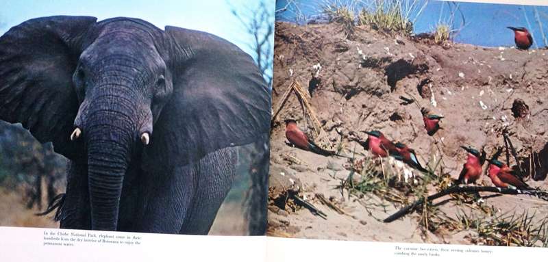 Zambezi South - John Sinclair - Hardcover - Book signed by Author - book 3 of 3-book series