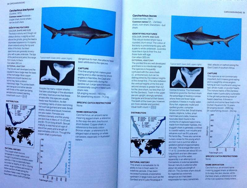 A Guide to the Common Sea Fishes of Southern Africa - Rudy van der Elst - Hardcover
