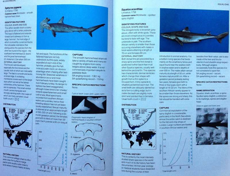 A Guide to the Common Sea Fishes of Southern Africa - Rudy van der Elst - Hardcover