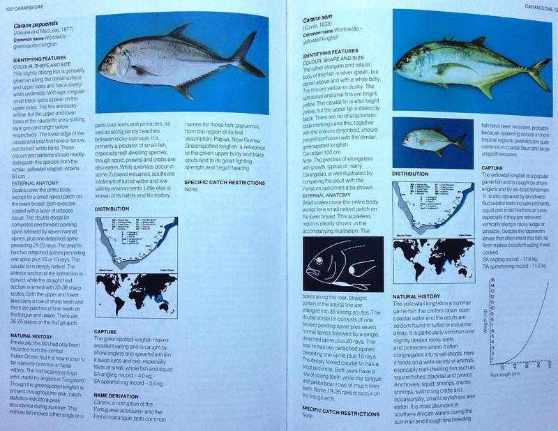 A Guide to the Common Sea Fishes of Southern Africa - Rudy van der Elst - Hardcover