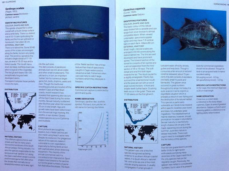 A Guide to the Common Sea Fishes of Southern Africa - Rudy van der Elst - Hardcover