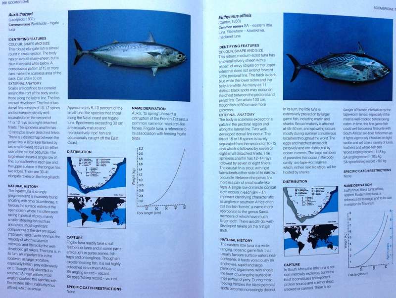 A Guide to the Common Sea Fishes of Southern Africa - Rudy van der Elst - Hardcover