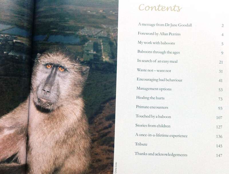 Beast or Blessing - Jenni Trethowan       Stories and images about living with Baboons in Africa