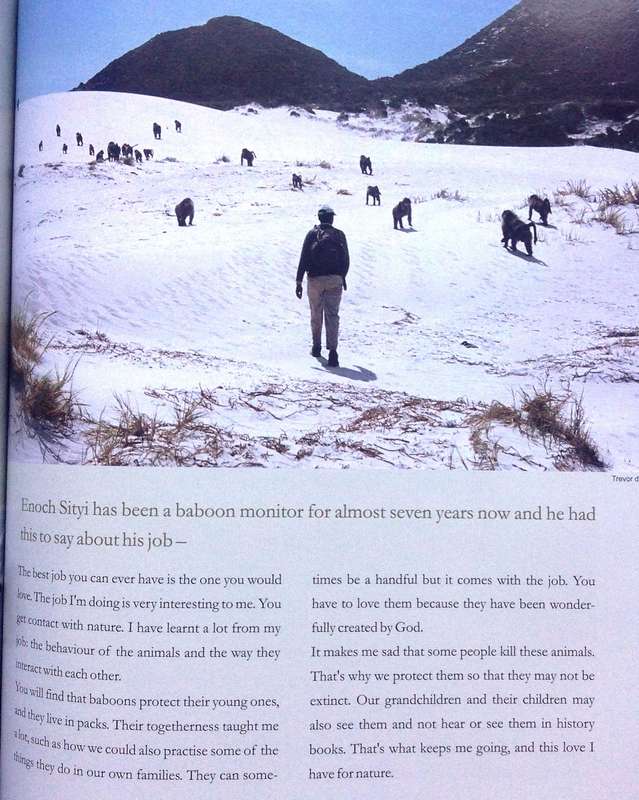 Beast or Blessing - Jenni Trethowan       Stories and images about living with Baboons in Africa