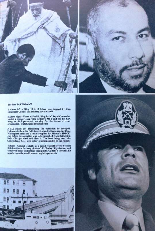 See You in November - Peter Stiff - Hardcover     Rhodesia's No-holds-barred Intelligence War