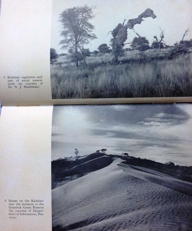 Lost City of the Kalahari - Fay Goldie - Hardcover The Farini Story and Reports on other Expeditions