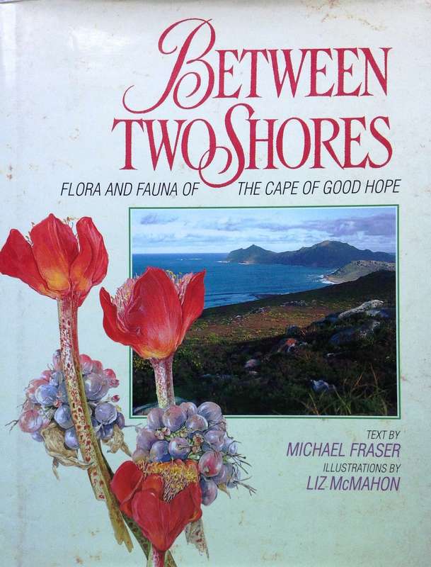 Between Two Shores - Flora and Fauna of The Cape of Good Hope - M Fraser and L McMahon - Hardcover