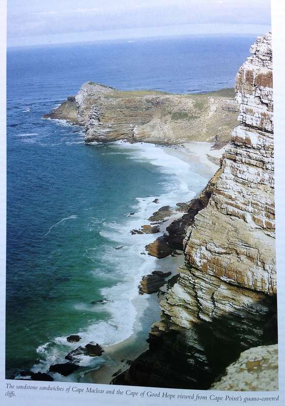 Between Two Shores - Flora and Fauna of The Cape of Good Hope - M Fraser and L McMahon - Hardcover