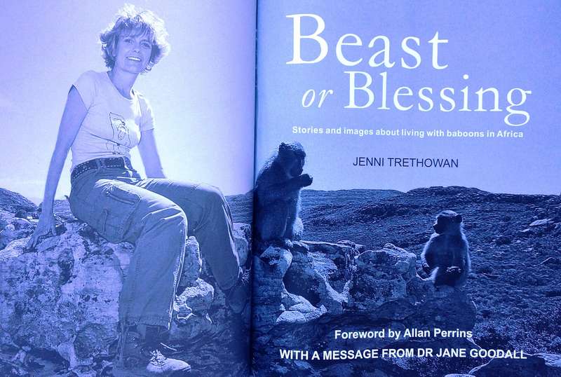 Beast or Blessing - Jenni Trethowan       Stories and images about living with Baboons in Africa