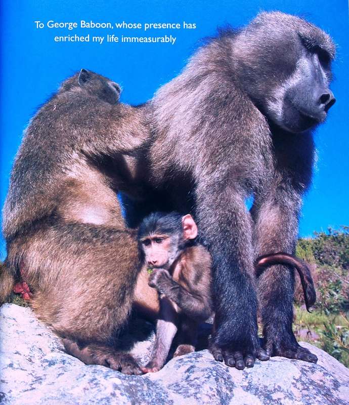 Beast or Blessing - Jenni Trethowan       Stories and images about living with Baboons in Africa