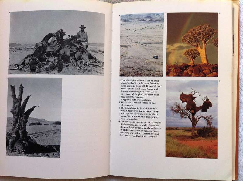 South West Africa - Olga Levinson - Hardcover