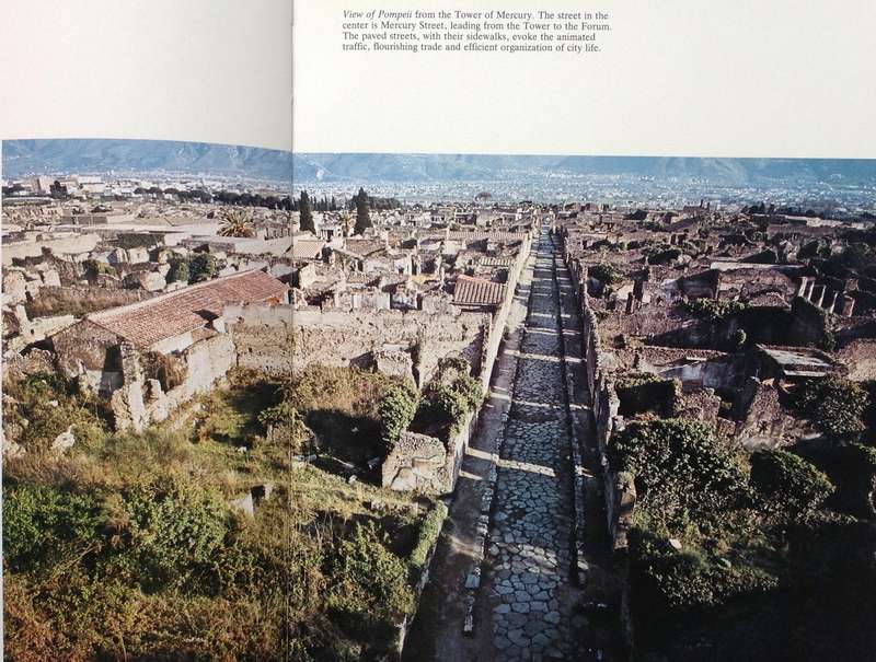 The Art and Life of Pompeii and Herculaneum by Michael Grant