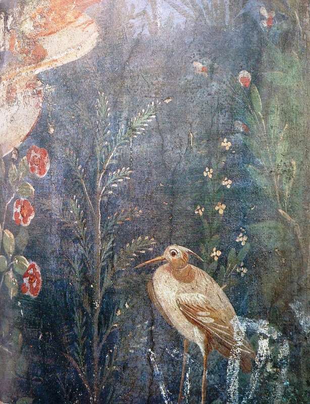 The Art and Life of Pompeii and Herculaneum by Michael Grant