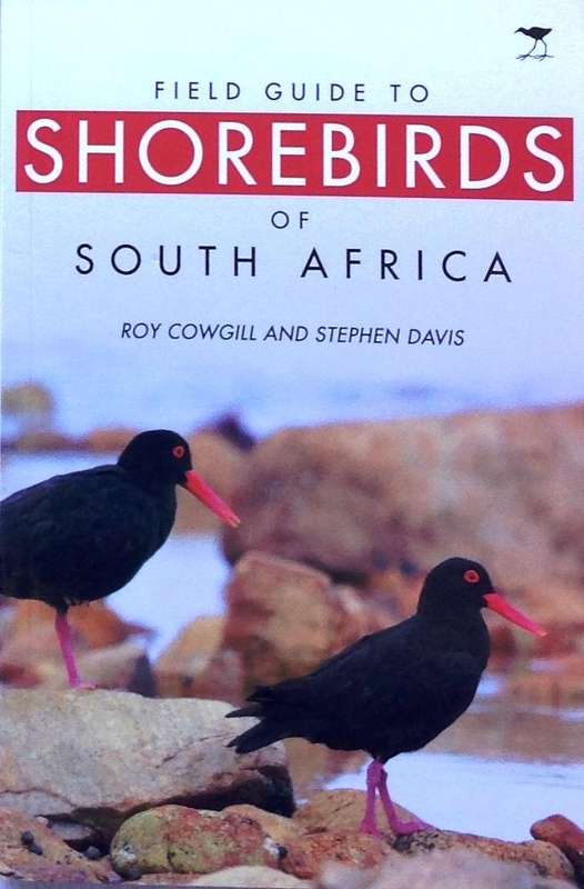 Field Guide to Shorebirds of South Africa - Roy Cowgill and Stephen Davis