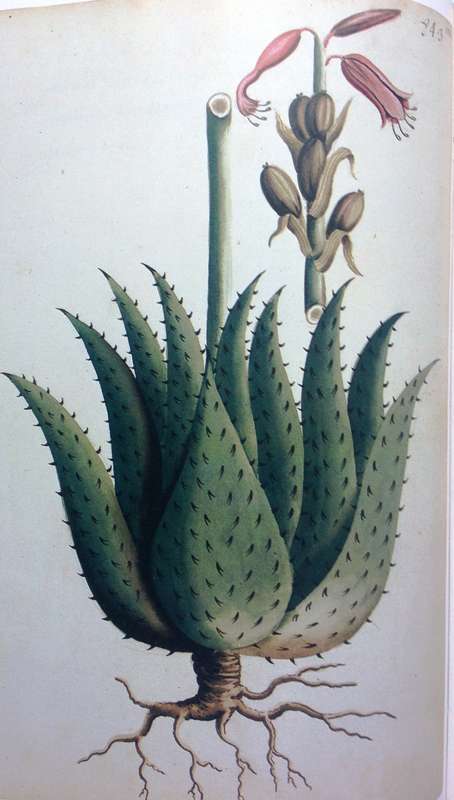 Simon van der Stel's Journey to Namaqualand 1685 - Hardcover - Large beautiful historical book