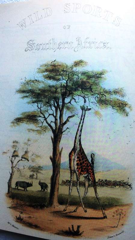 SAFARI - A Chronicle of Adventure - Bartle Bull - Hardcover
