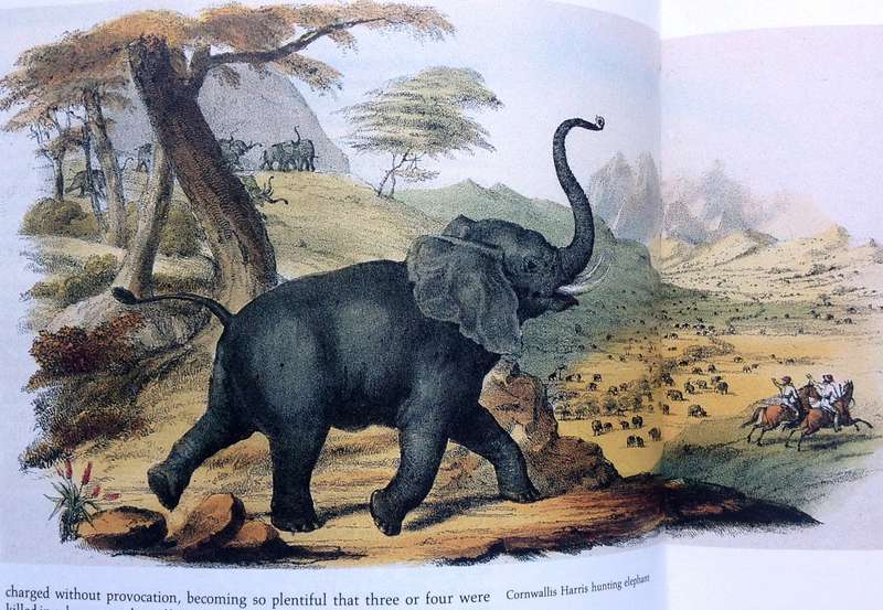 SAFARI - A Chronicle of Adventure - Bartle Bull - Hardcover
