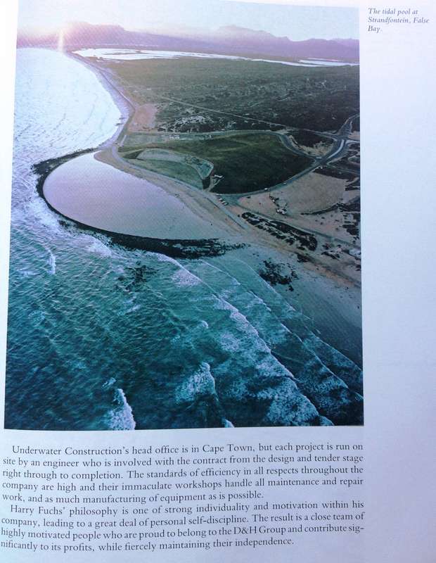 A Foundation for the Future - The Darling and Hodgson Story 1934 - 1984 - Hardcover