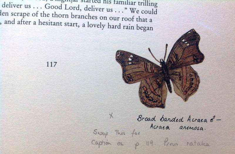 The Springing of the Year - Gillian Rattray - signed proofread copy with corrections in pencil