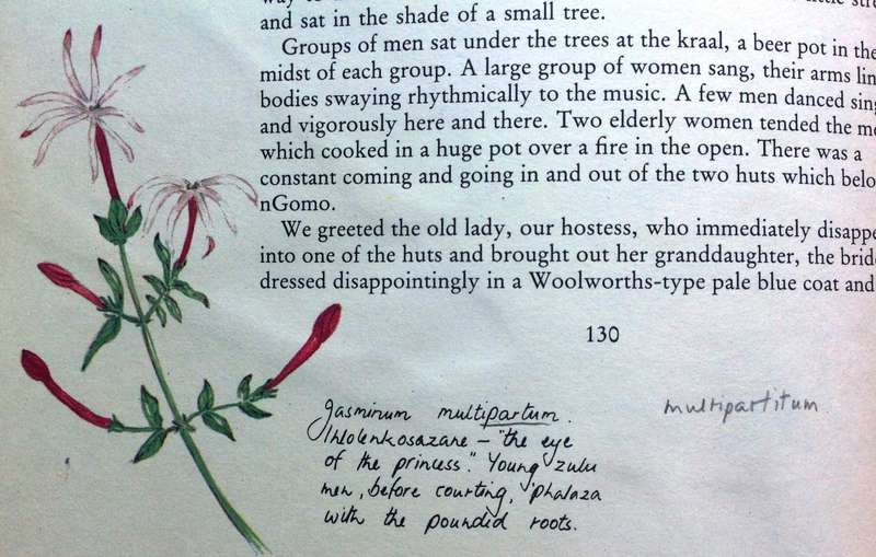 The Springing of the Year - Gillian Rattray - signed proofread copy with corrections in pencil
