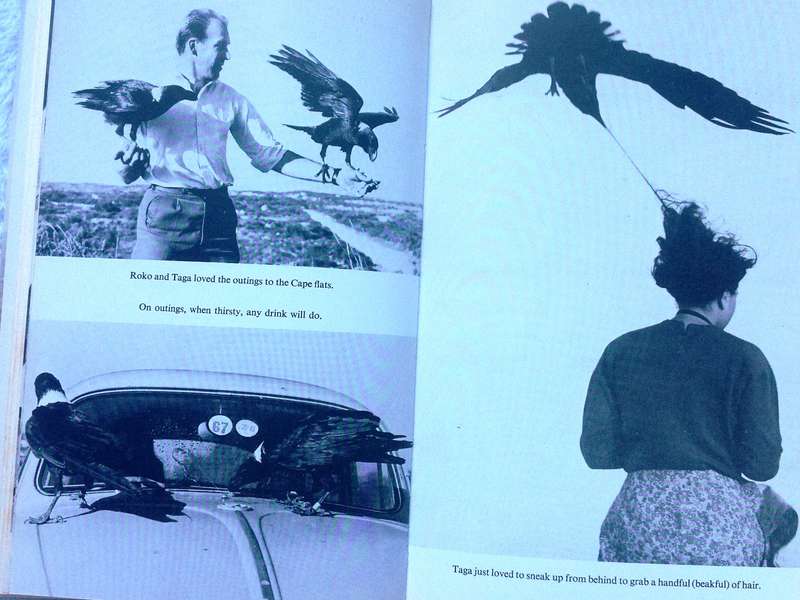 TWO RAVENS came TAPPING - Friedrich von Kirchhoff - Hardcover  Book signed by the Author