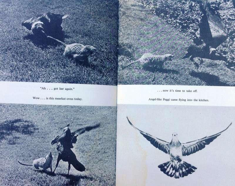 TWO RAVENS came TAPPING - Friedrich von Kirchhoff - Hardcover  Book signed by the Author