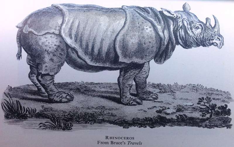 African Discovery - An Anthology of Exploration - Margery Perham and J Simmons
