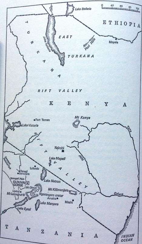 Olduvai Gorge - Mary Leakey - Hardcover     My Search for Early Man