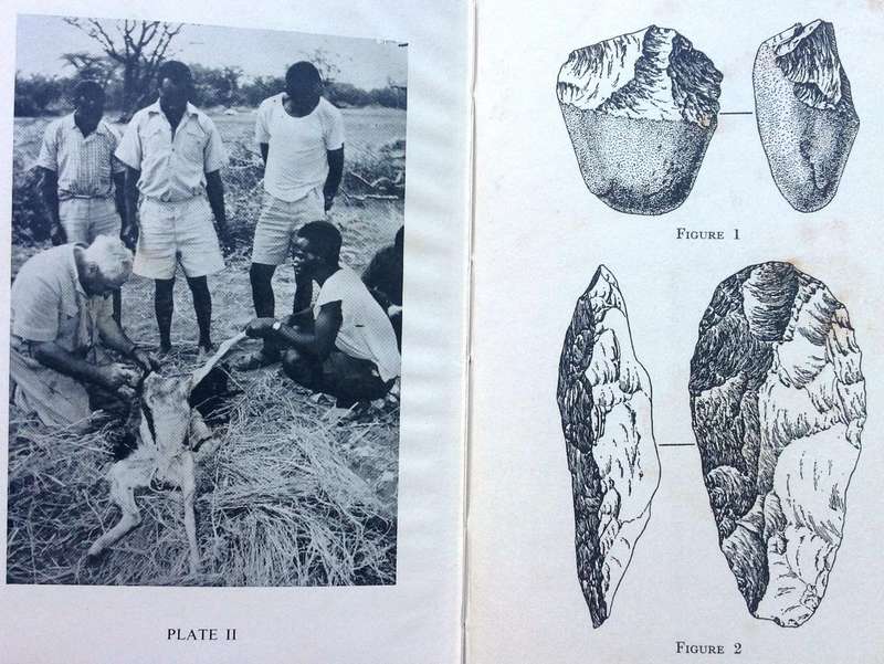 The progress and evolution of man in Africa - L S B Leakey - Hardcover