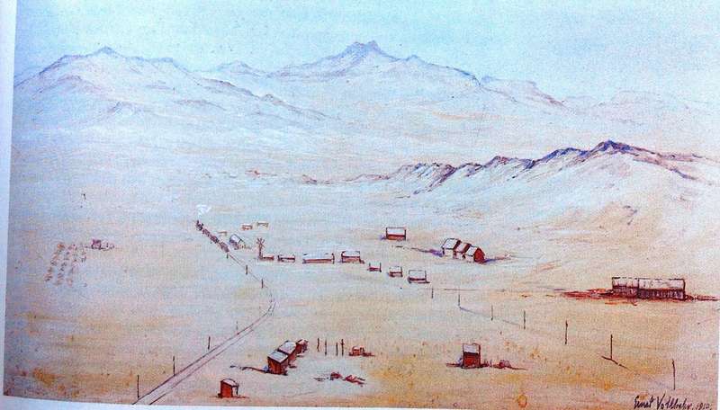 Diamonds in the Desert - Olga Levinson - Hardcover    The Story of August Stauch and His Times