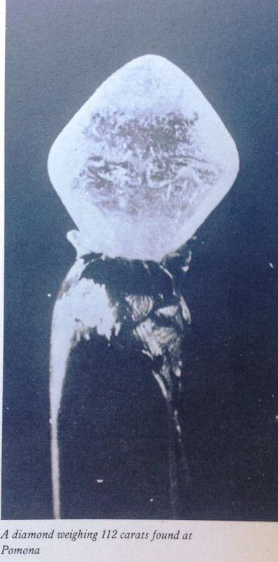 Diamonds in the Desert - Olga Levinson - Hardcover    The Story of August Stauch and His Times