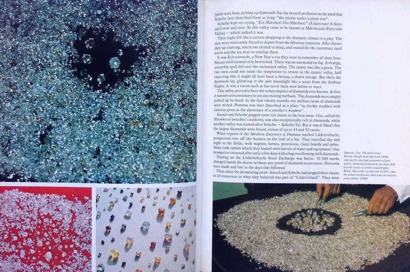 Diamonds in the Desert - Olga Levinson - Hardcover    The Story of August Stauch and His Times