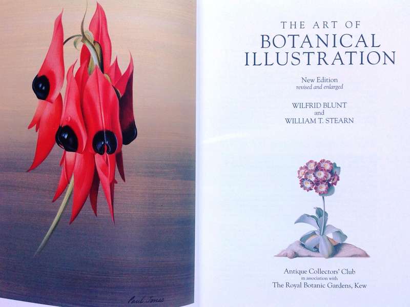 The Art of Botanical Illustration - Blunt and Stearn - Hardcover