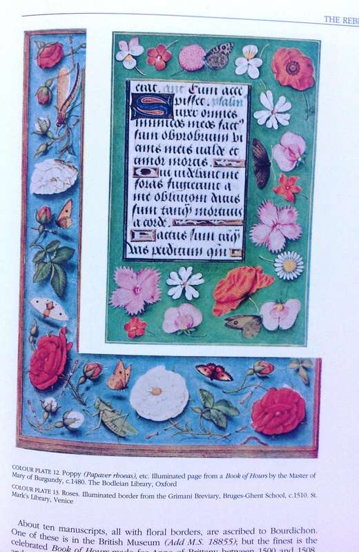 The Art of Botanical Illustration - Blunt and Stearn - Hardcover