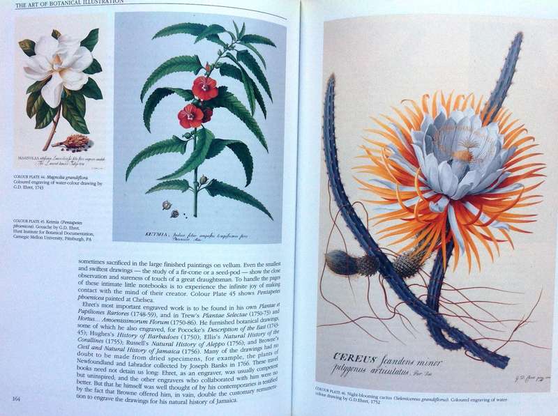 The Art of Botanical Illustration - Blunt and Stearn - Hardcover