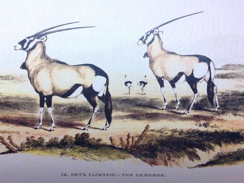 Portraits of the Game and Wild Animals of Southern Africa - Capt W Cornwallis Harris - Hardcover