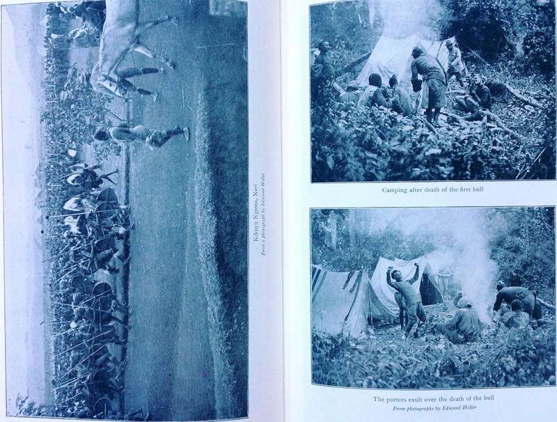 African Game Trails - Theodore Roosevelt - Hardcover