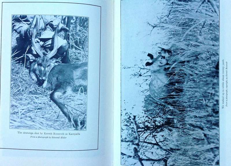 African Game Trails - Theodore Roosevelt - Hardcover