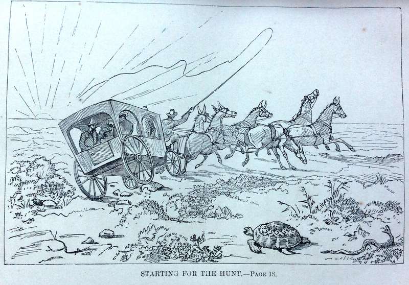 Six Months at the Cape - R M Ballantyne - Hardcover      Letters to Periwinkle from South Africa